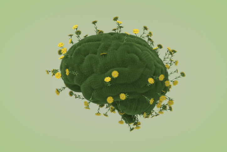 cerveau en herbe, idées vertes