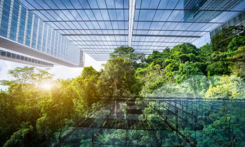 arbres au mileu entreprises